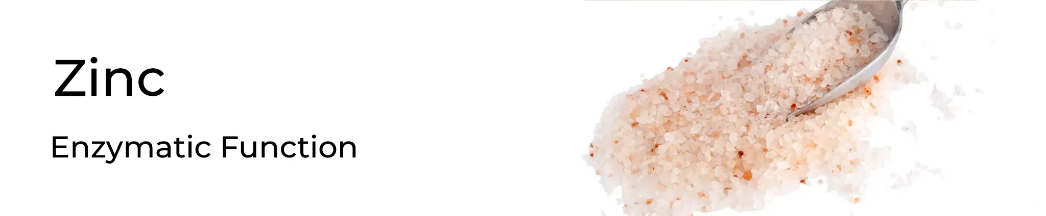 Zinc — Enzymatic Function.webp__PID:e31b7878-902f-4d1a-a826-abc423000ffe